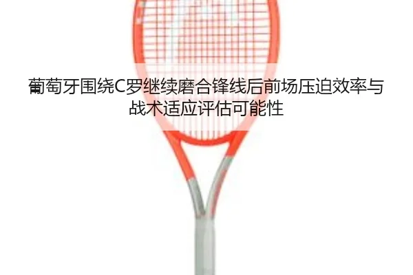 pu-tao-ya-wei-rao-luo-ji-xu-mo-he-feng-xian-hou-qian-chang-ya-po-xiao-lv-yu-zhan-shu-shi-ying-ping-gu-ke-neng-xing-2-307.jpg